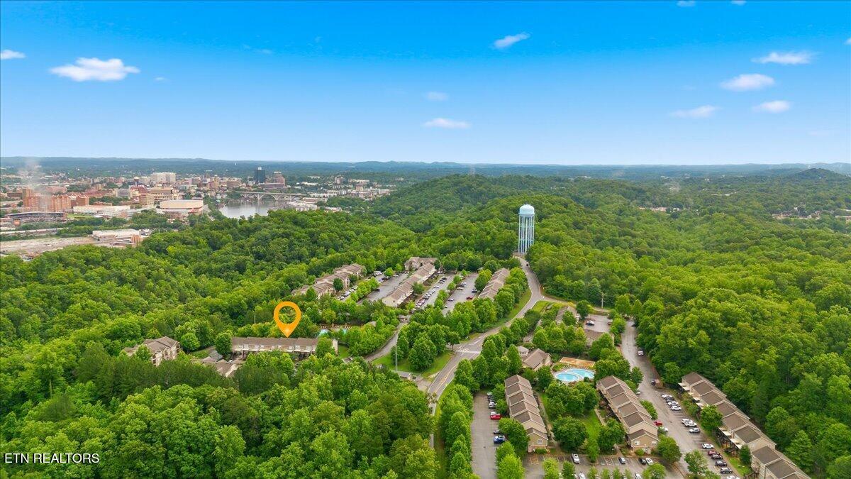 1121 Tree Top Way Knoxville TN 37920