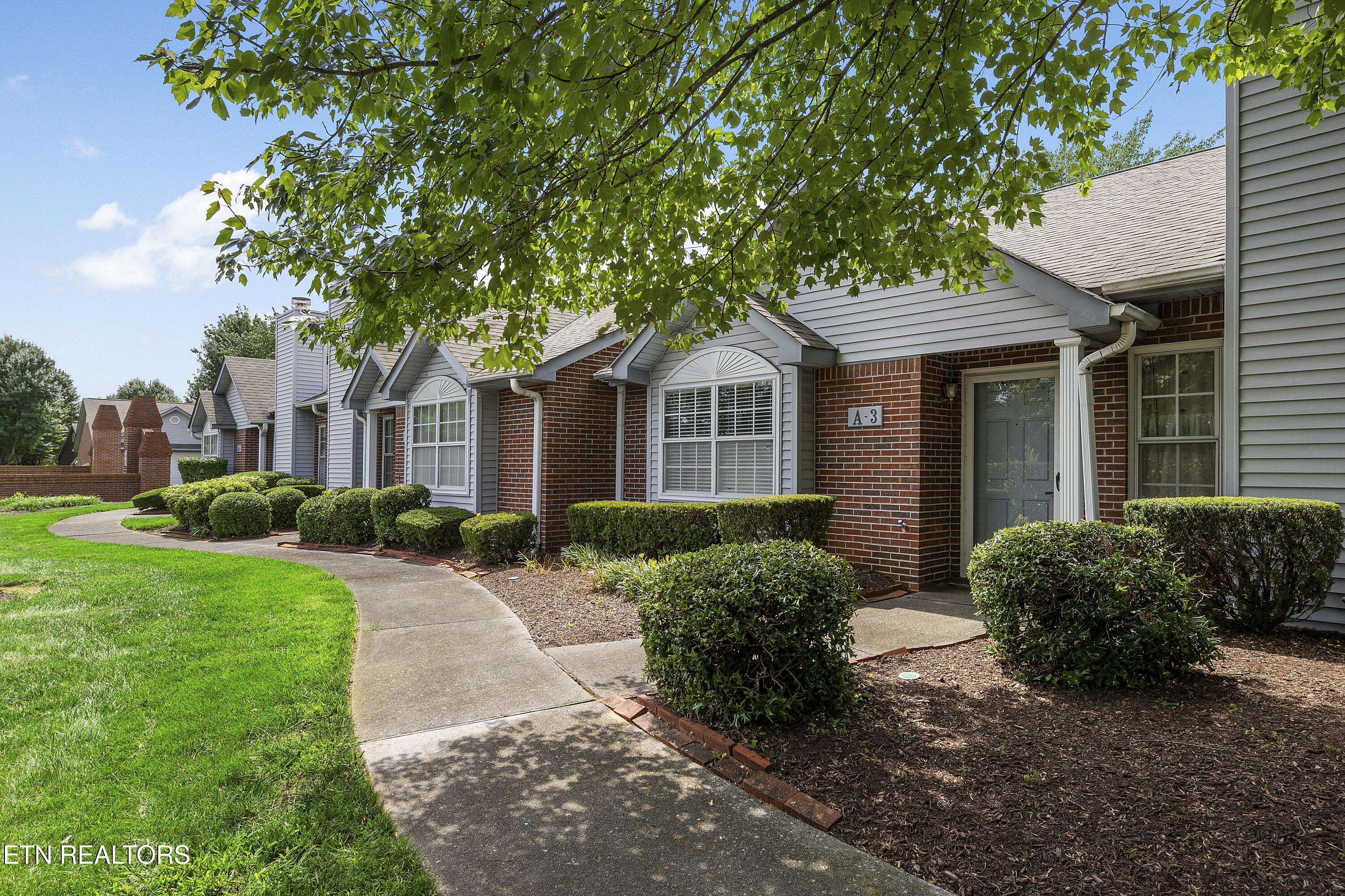 805 Cedar Lane Knoxville TN 37912