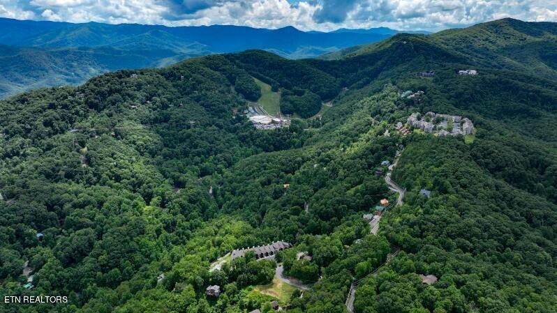 1155 Upper Alpine Way Gatlinburg TN 37738