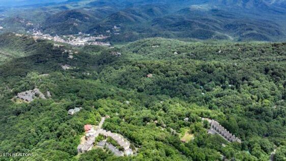 1155 Upper Alpine Way Gatlinburg TN 37738