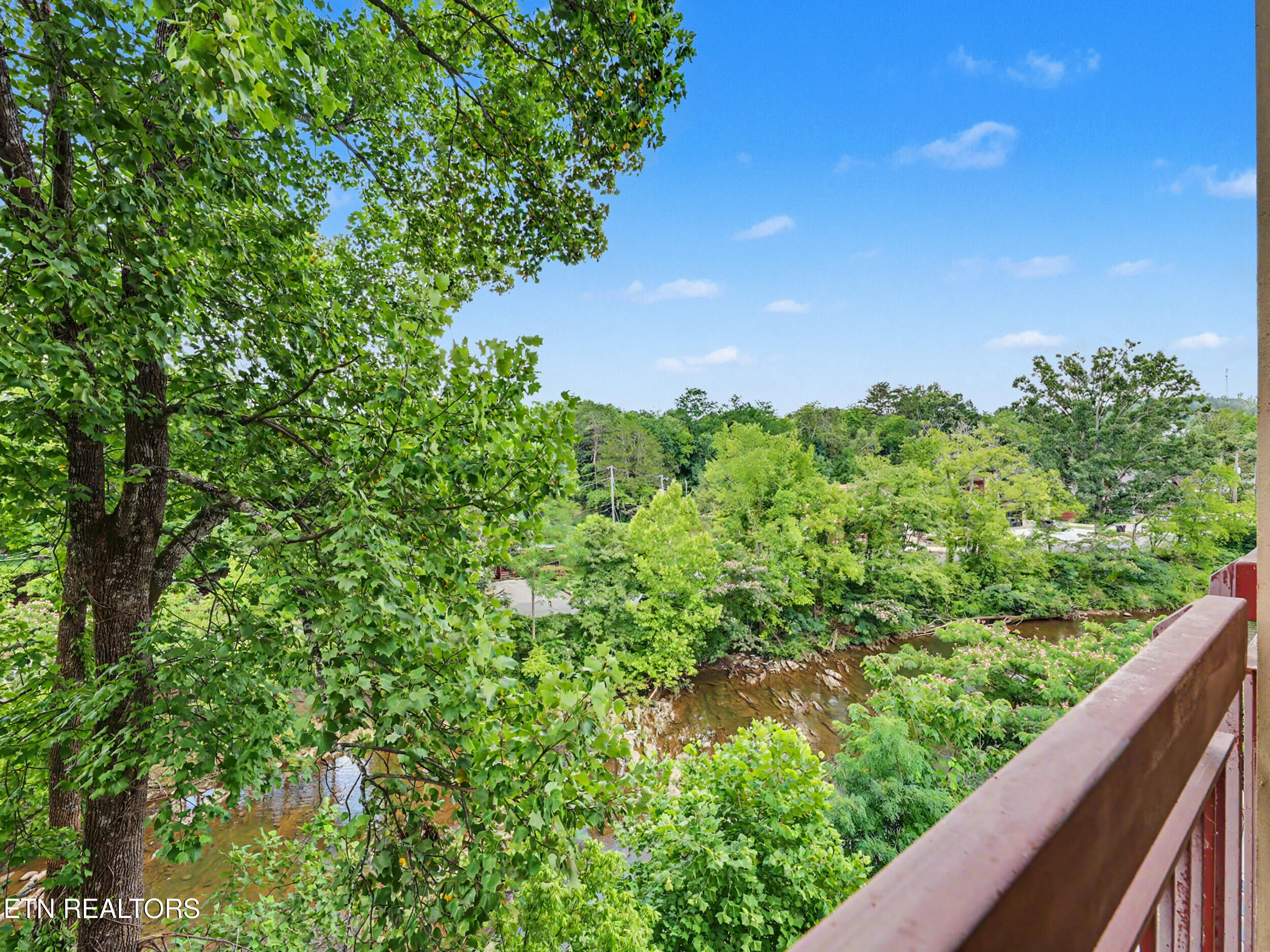 3919 S River Road Pigeon Forge TN 37863