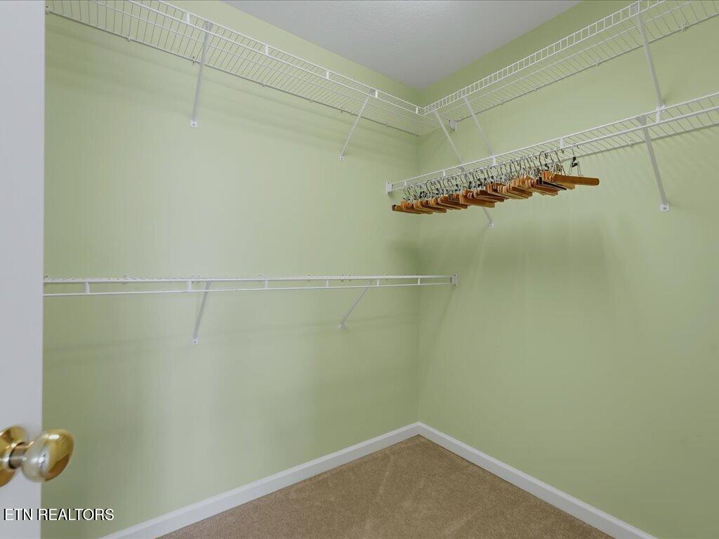 102 Creed Way New Tazewell TN 37825