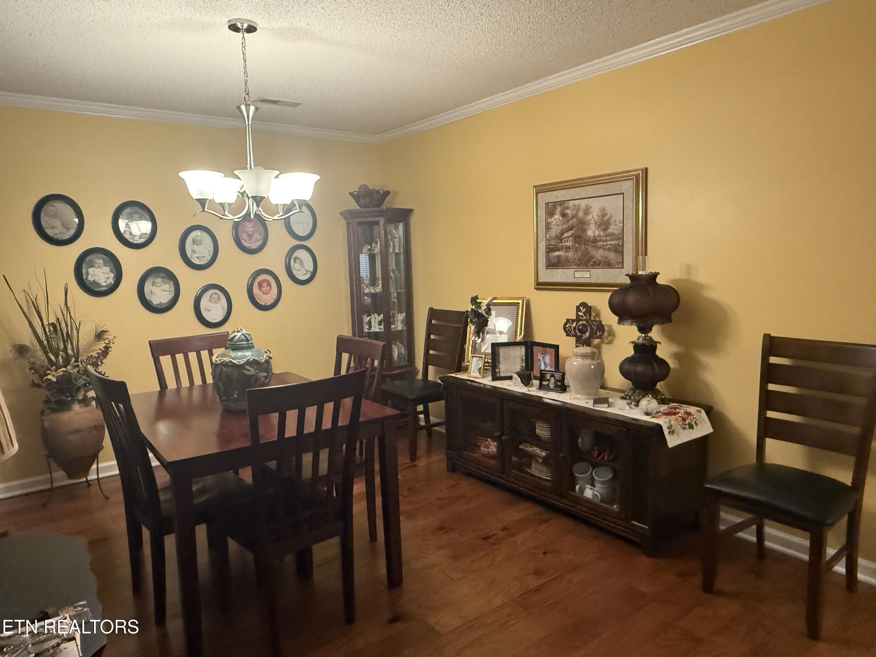 805 Cedar Lane Knoxville TN 37912