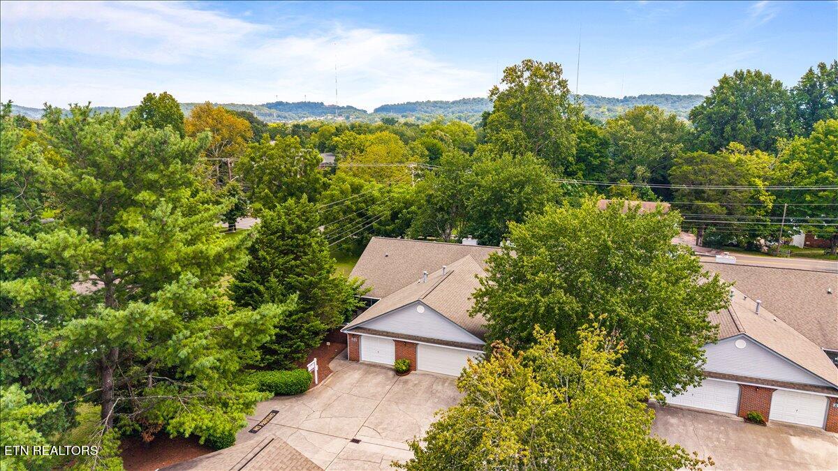 805 Cedar Lane Knoxville TN 37912