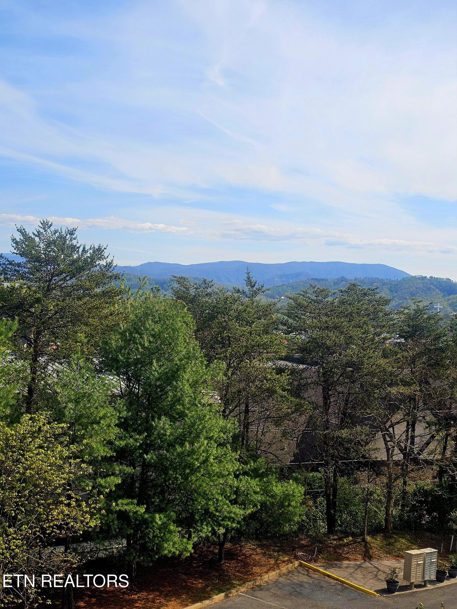 124 Plaza Drive Pigeon Forge TN 37863
