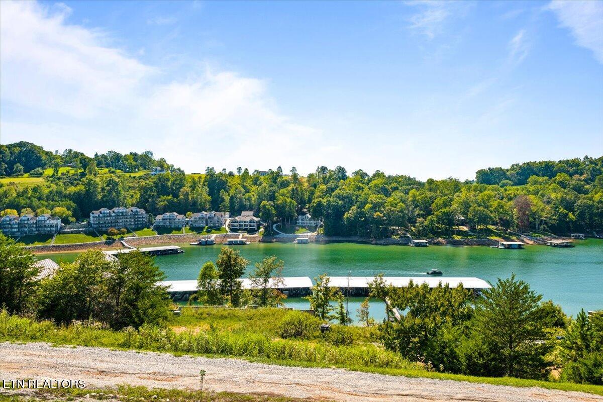 195 N Deer Village Lane Lafollette TN 37766