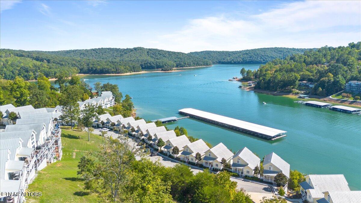 195 N Deer Village Lane Lafollette TN 37766