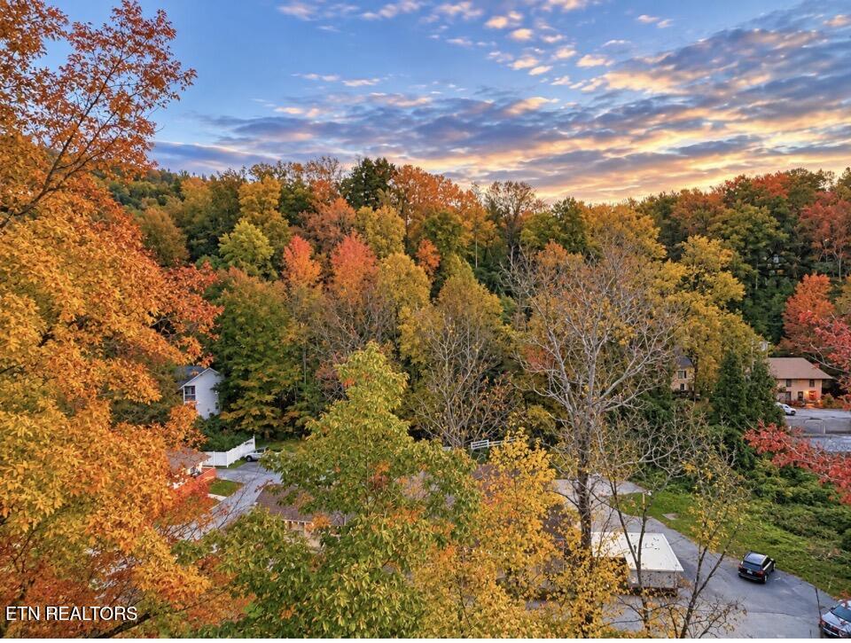 210 Roaring Fork Gatlinburg TN 37738