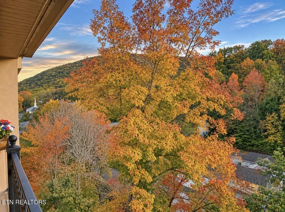 210 Roaring Fork Gatlinburg TN 37738