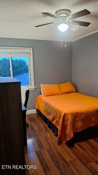 2718 Painter Avenue Knoxville TN 37919