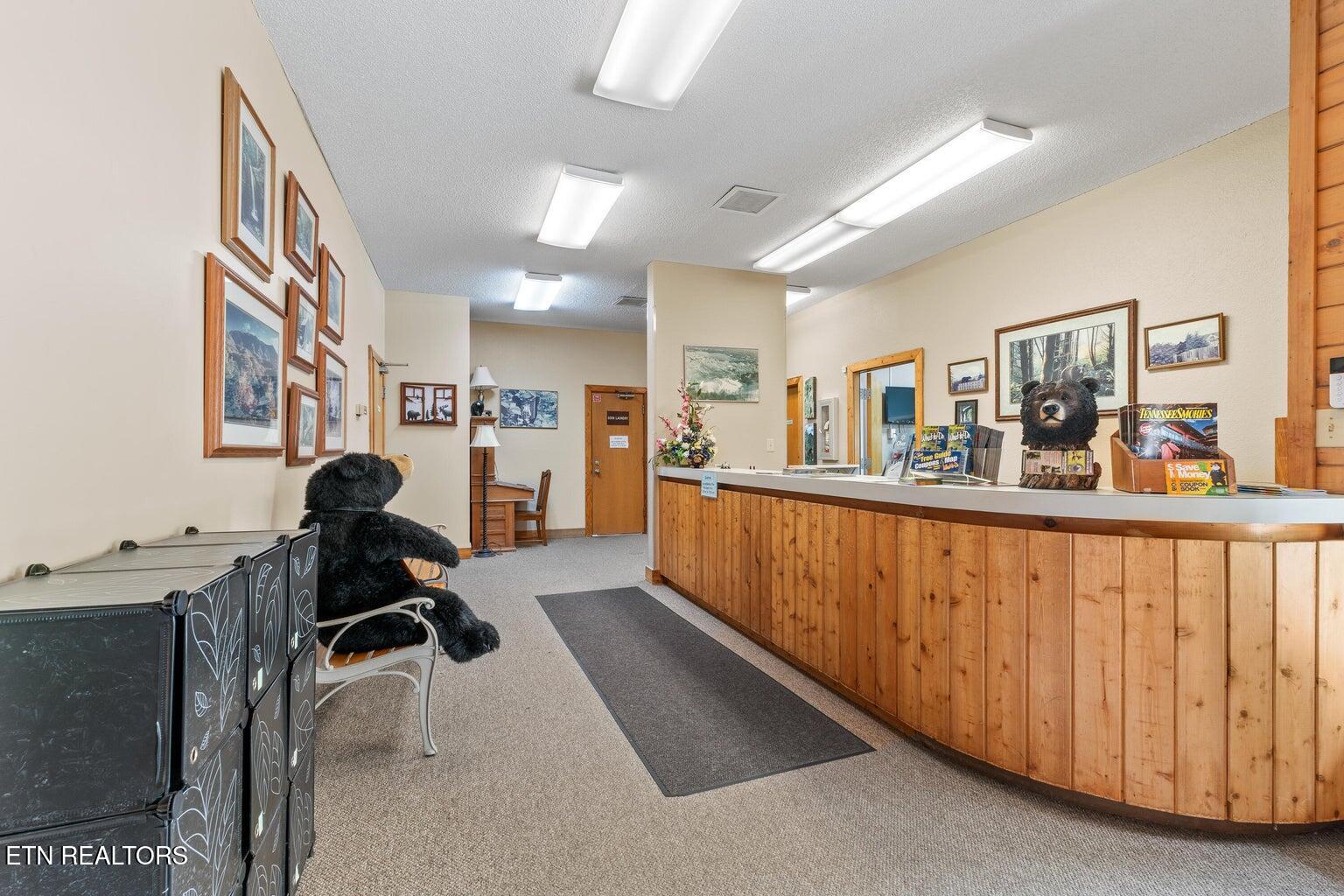 1260 Ski View Drive Gatlinburg TN 37738