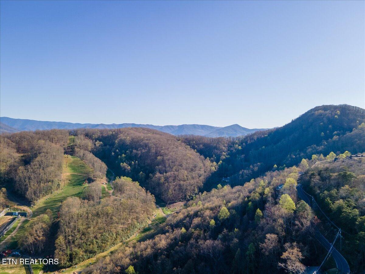 1260 Ski View Drive Gatlinburg TN 37738