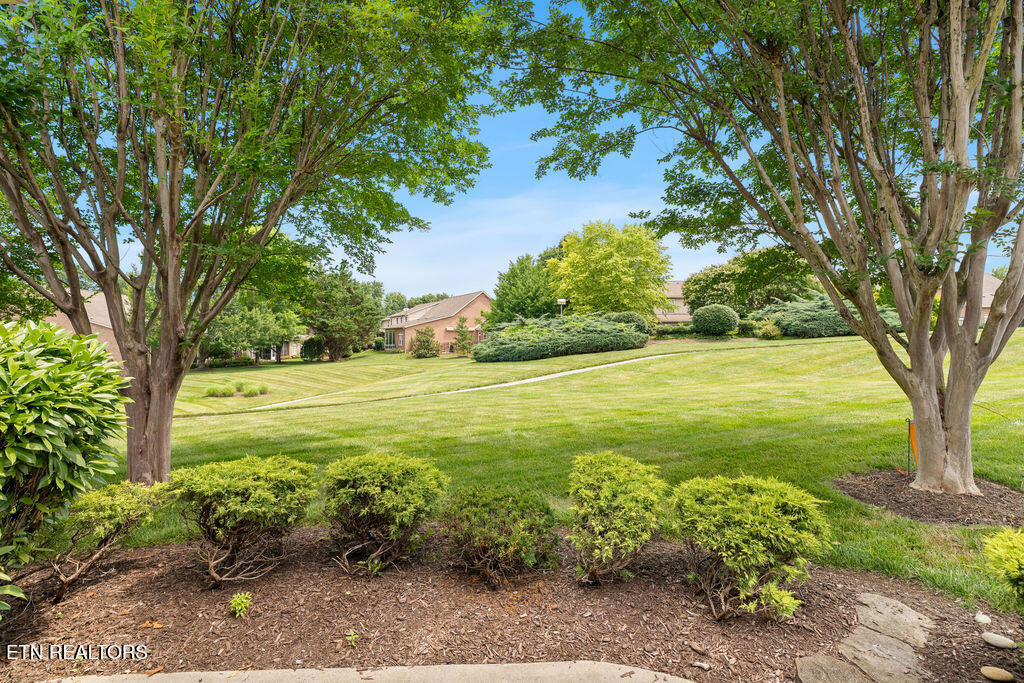 914 Altamont Way Knoxville TN 37923