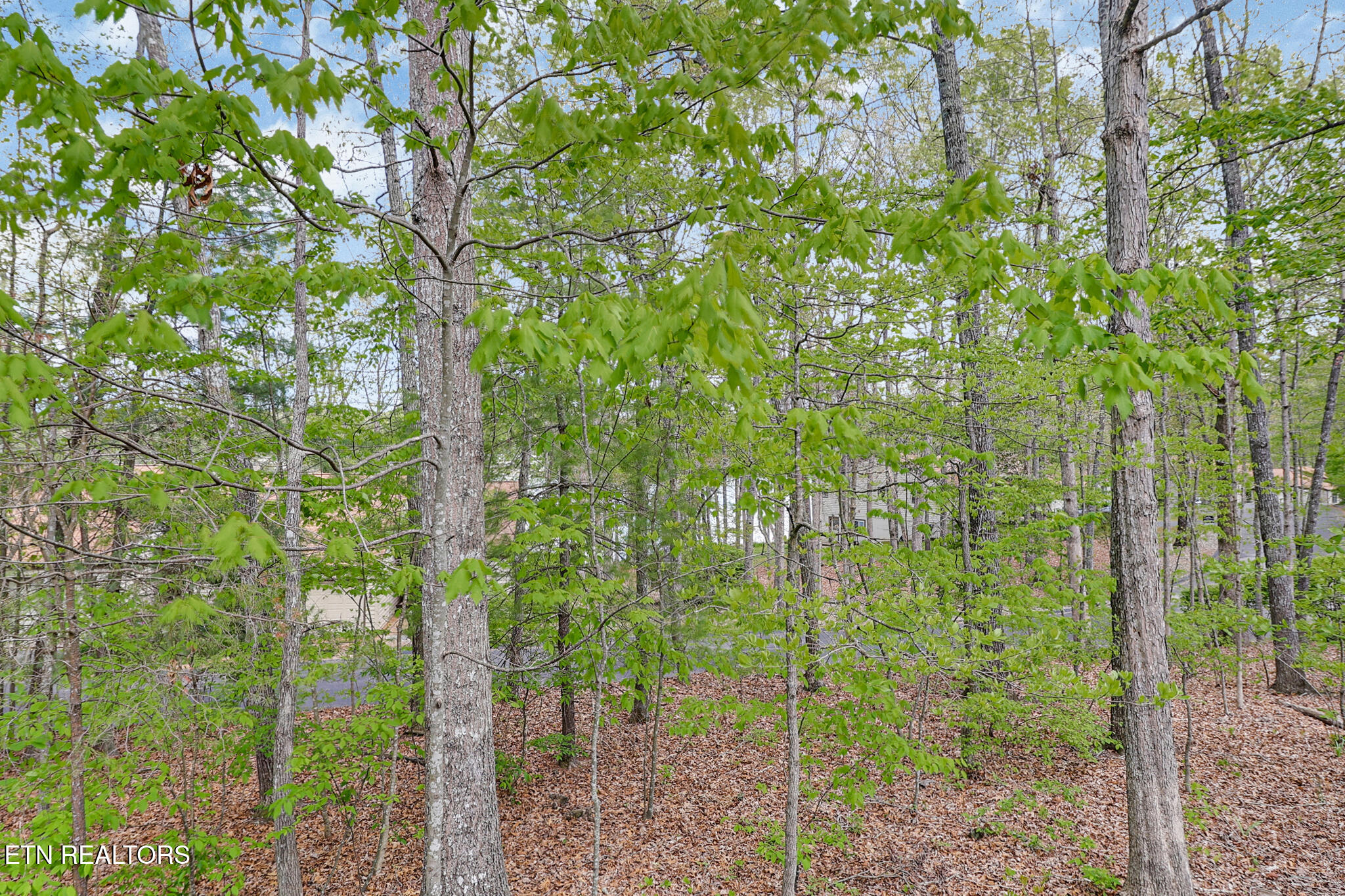 378 Lake Catherine Court Crossville TN 38558