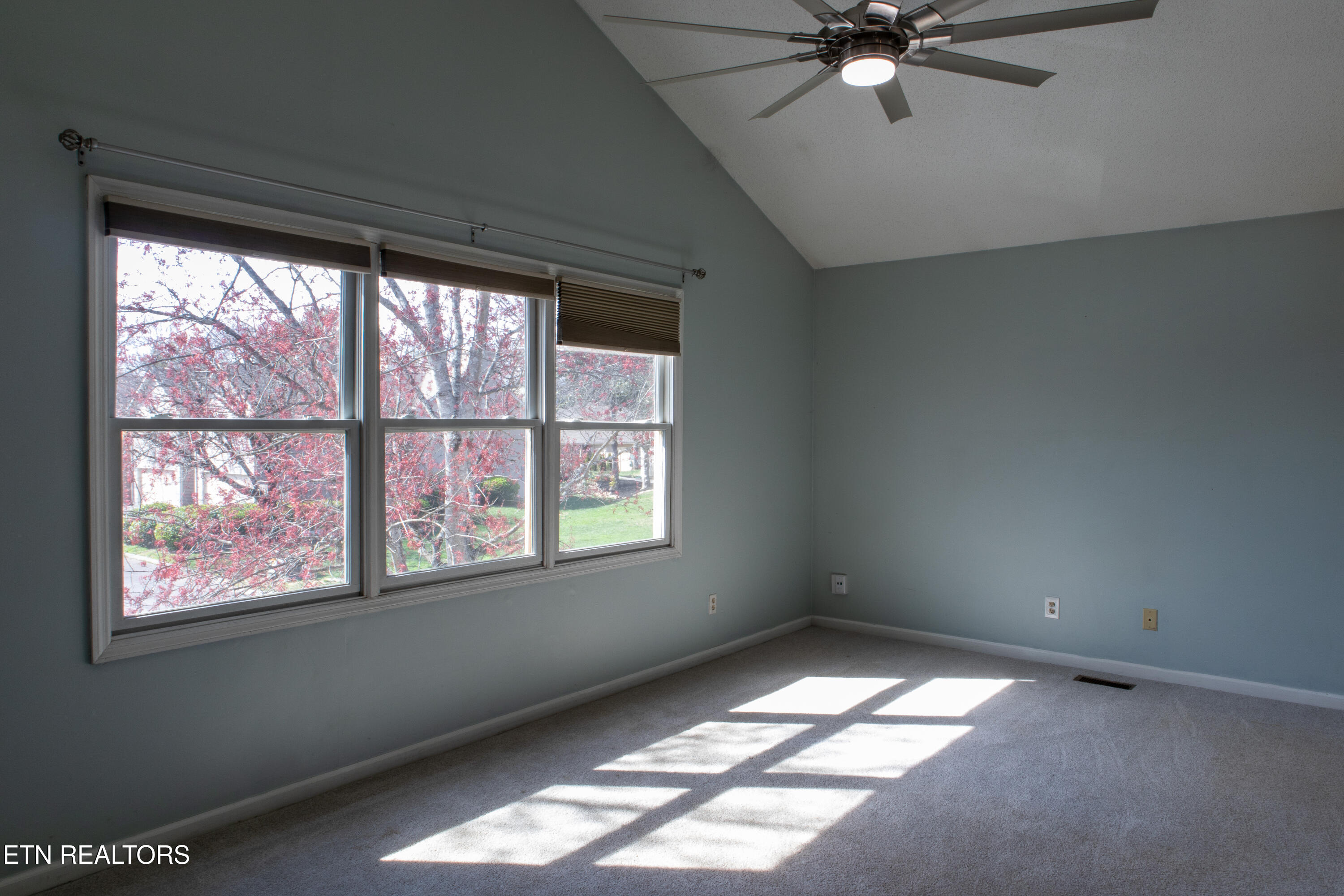 8602 Old Carriage Court Knoxville TN 37923