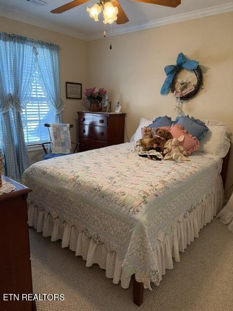 241 El Grande Lane Lenoir City TN 37771