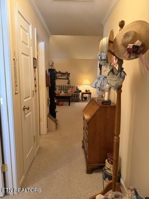 241 El Grande Lane Lenoir City TN 37771