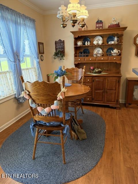 241 El Grande Lane Lenoir City TN 37771