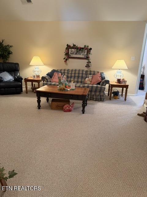 241 El Grande Lane Lenoir City TN 37771