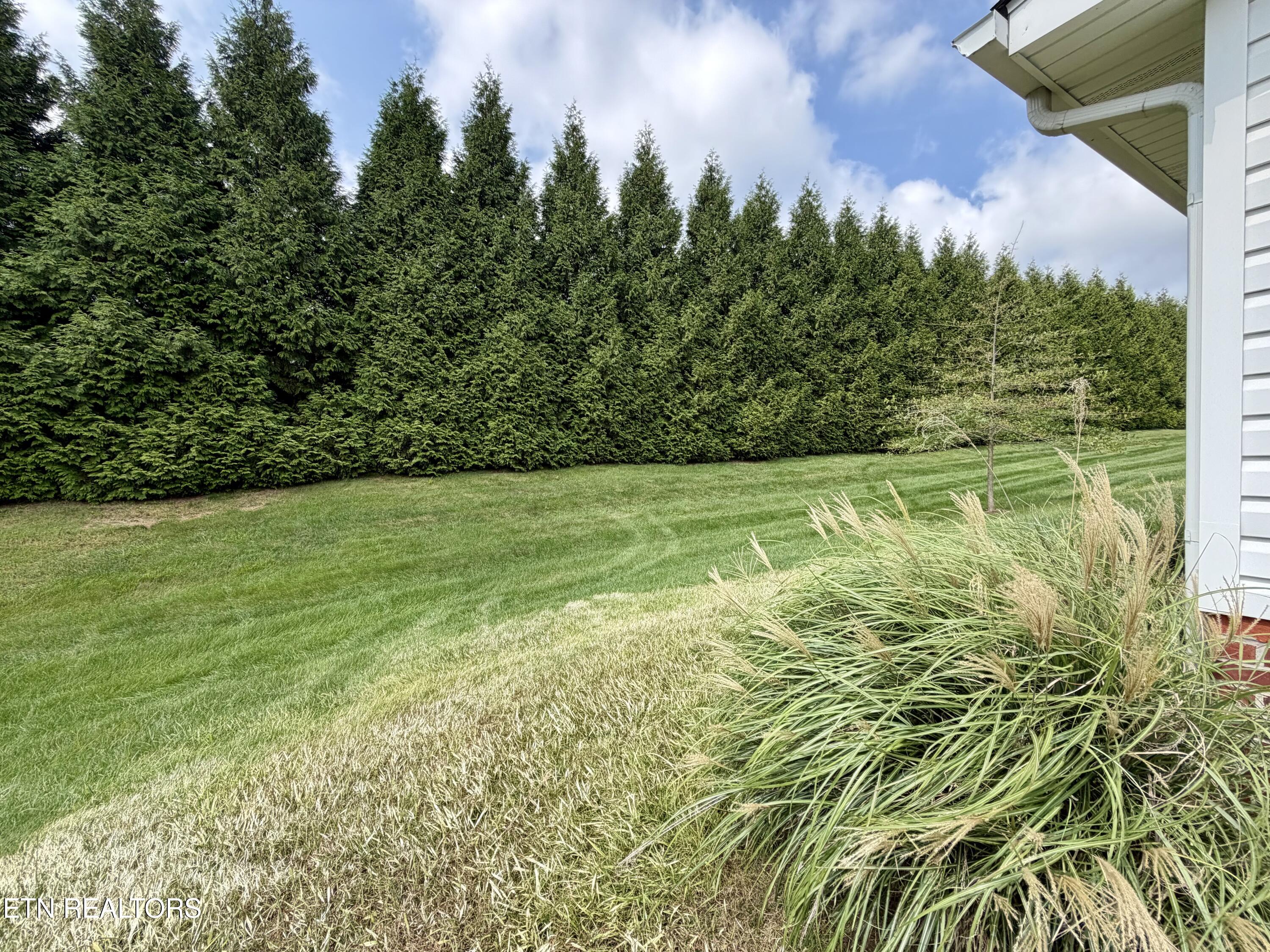 7823 Bethany Hills Road Knoxville TN 37938