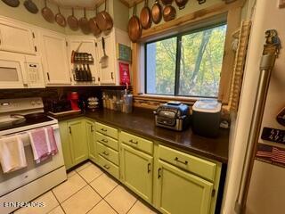 1235 Ski Mountain Road Gatlinburg TN 37738