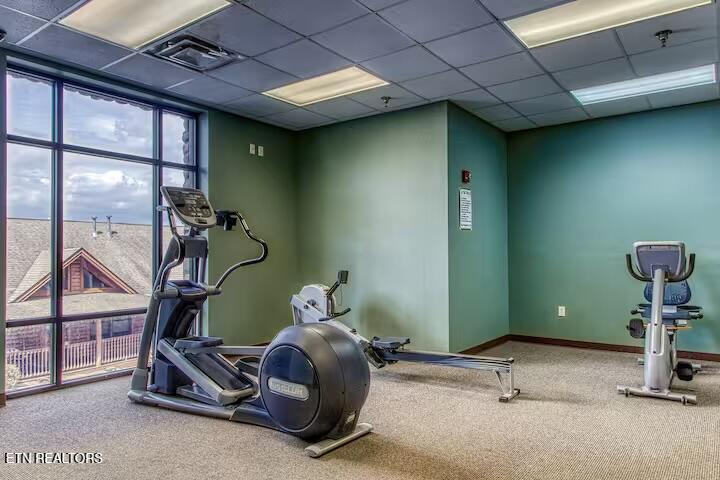 410 Big Bear Way Pigeon Forge TN 37863