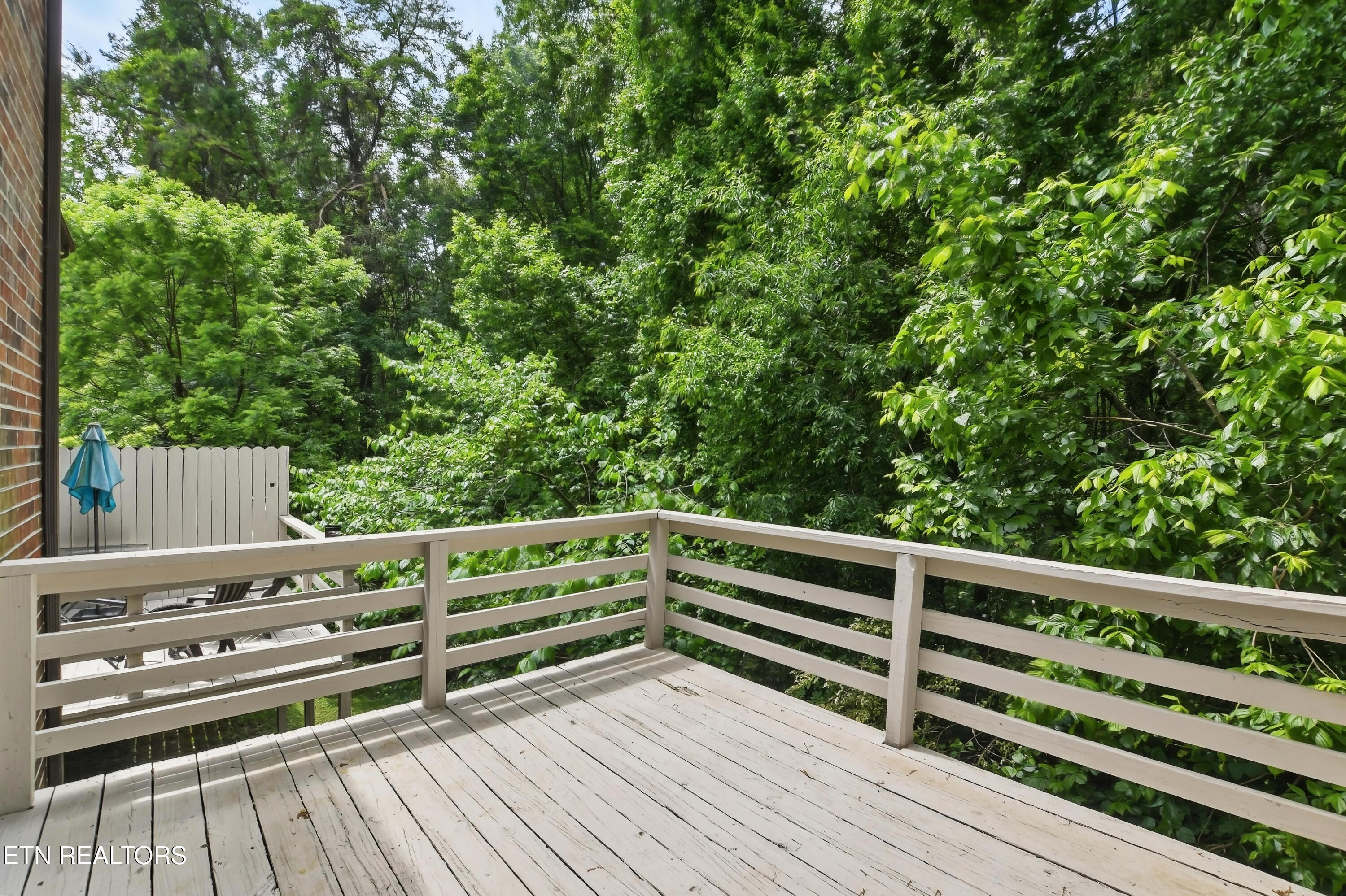 446 Tammy Drive Powell TN 37849