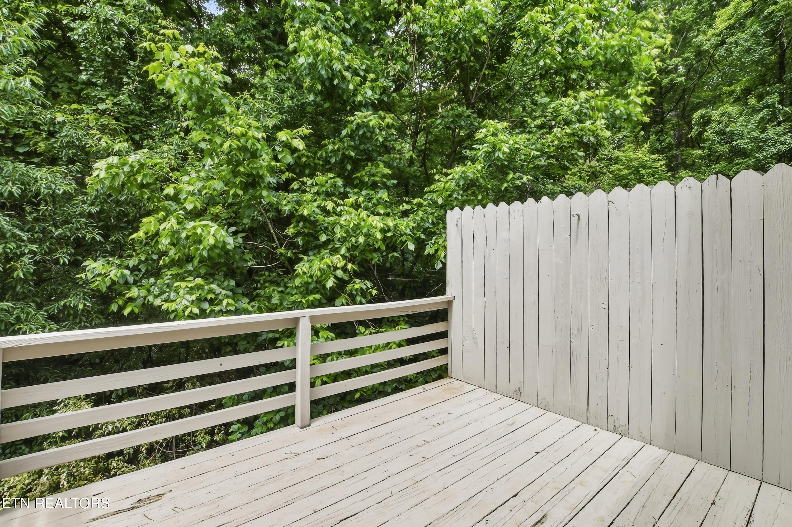446 Tammy Drive Powell TN 37849