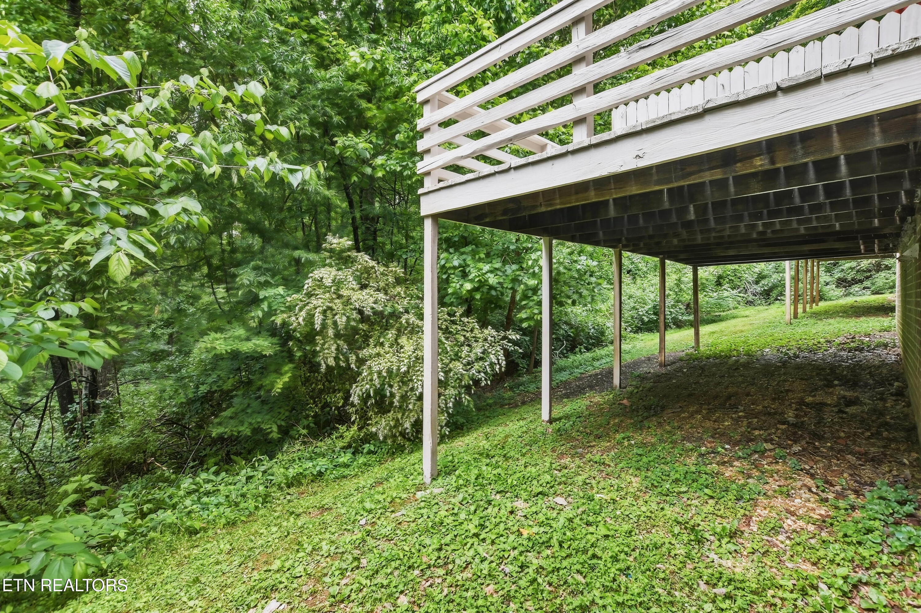 446 Tammy Drive Powell TN 37849