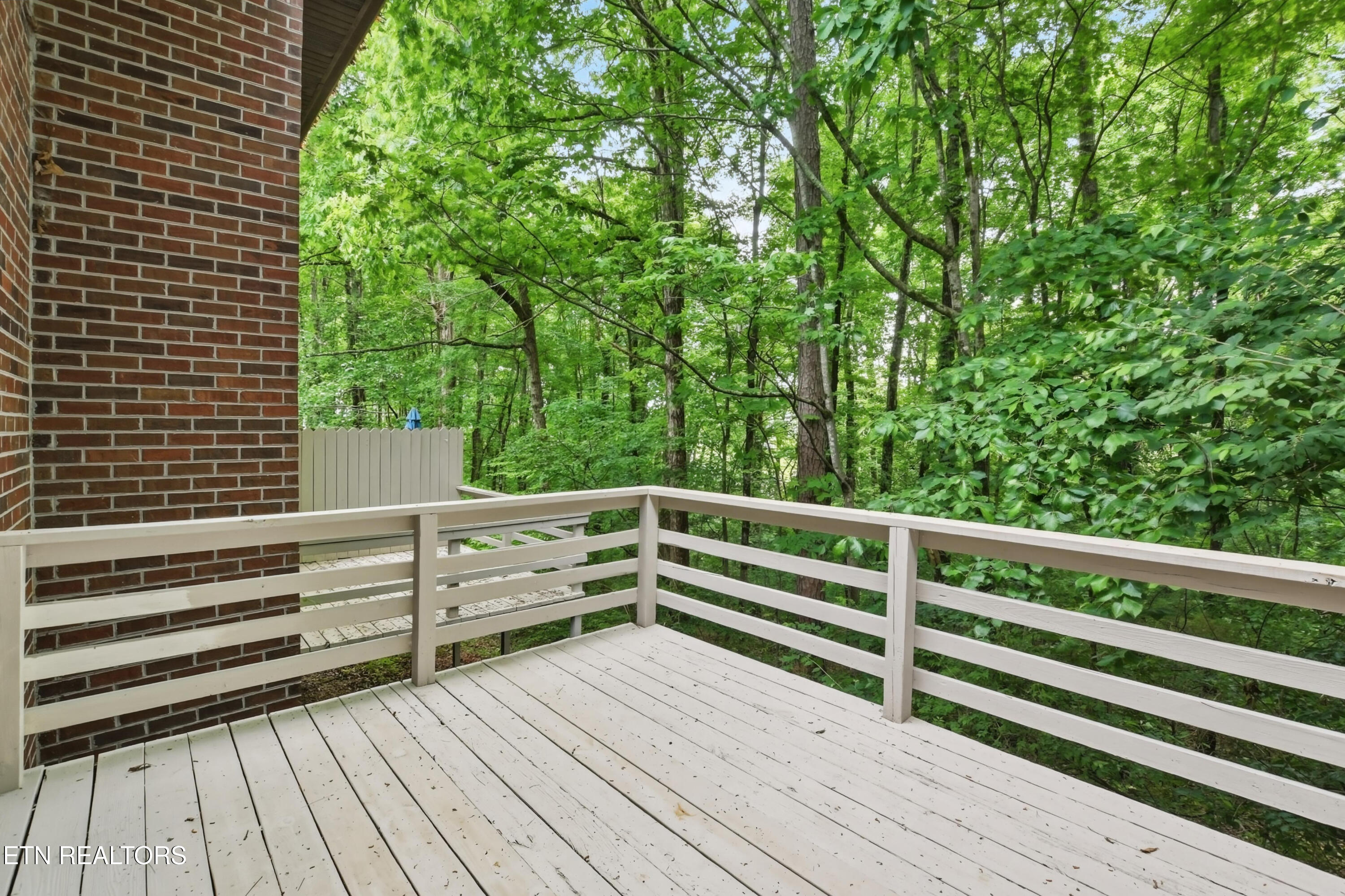 446 Tammy Drive Powell TN 37849