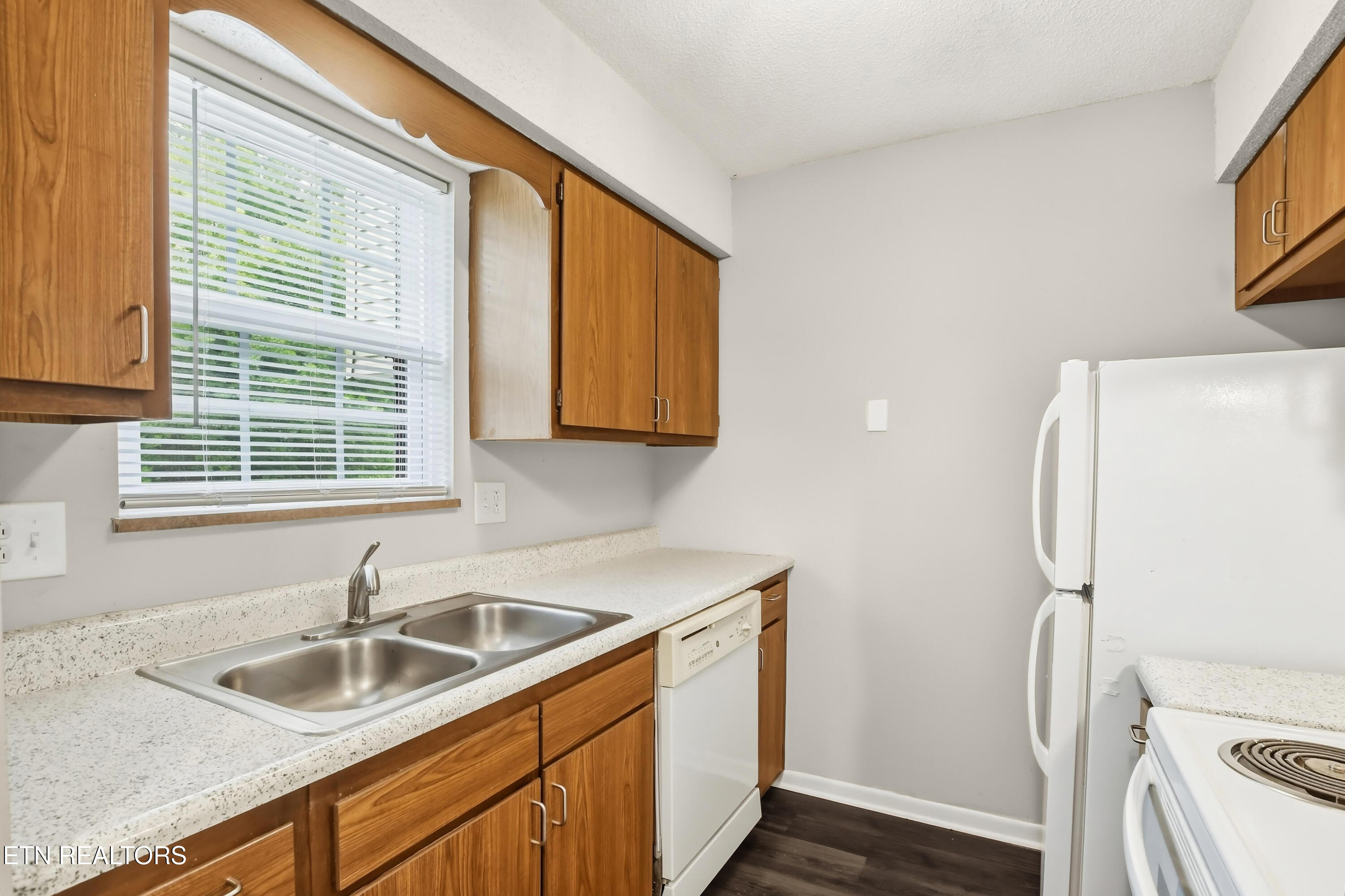 446 Tammy Drive Powell TN 37849