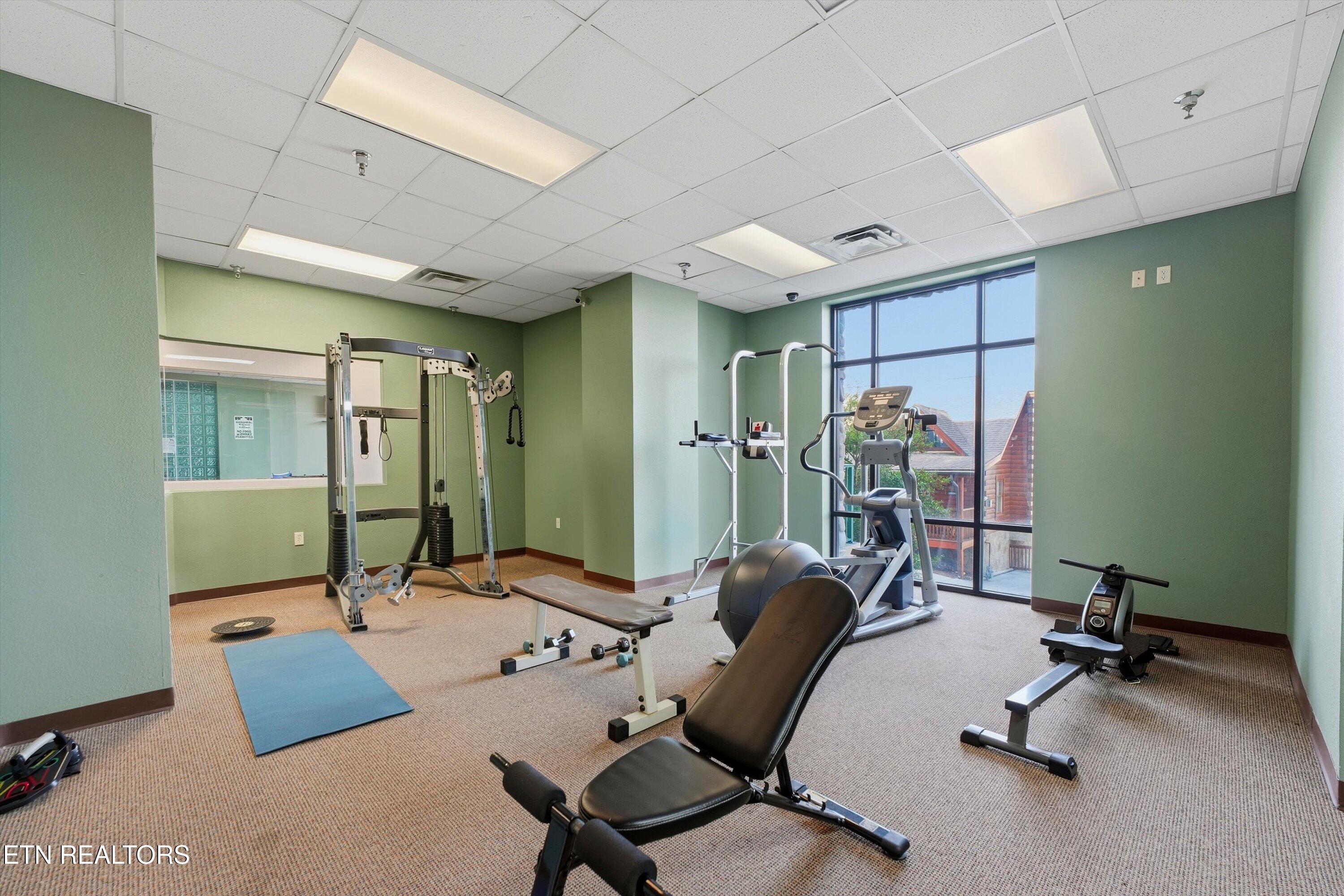 410 Big Bear Way Pigeon Forge TN 37863