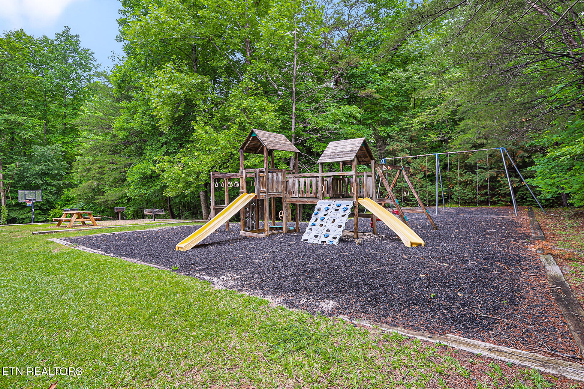 3710 Weber Road Gatlinburg TN 37738