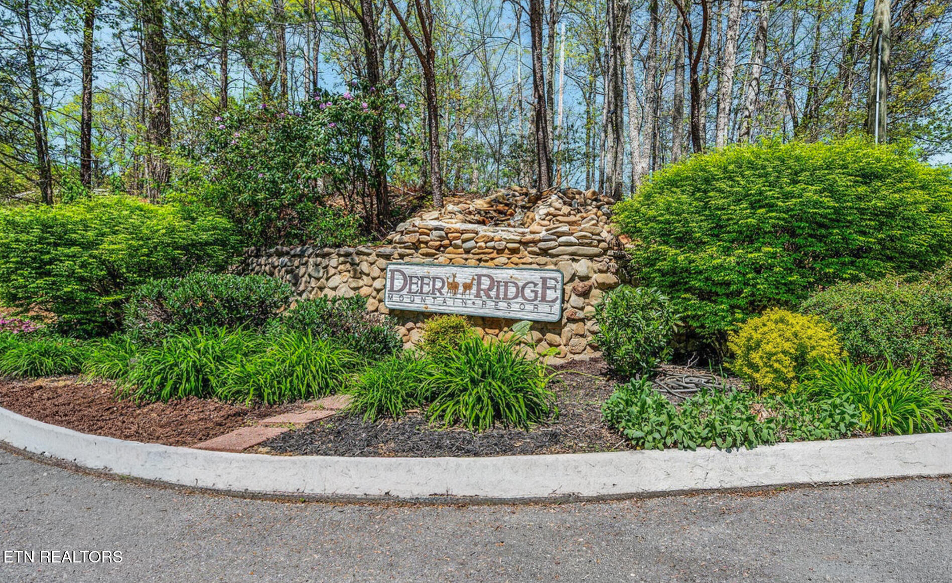 3710 Weber Road Gatlinburg TN 37738
