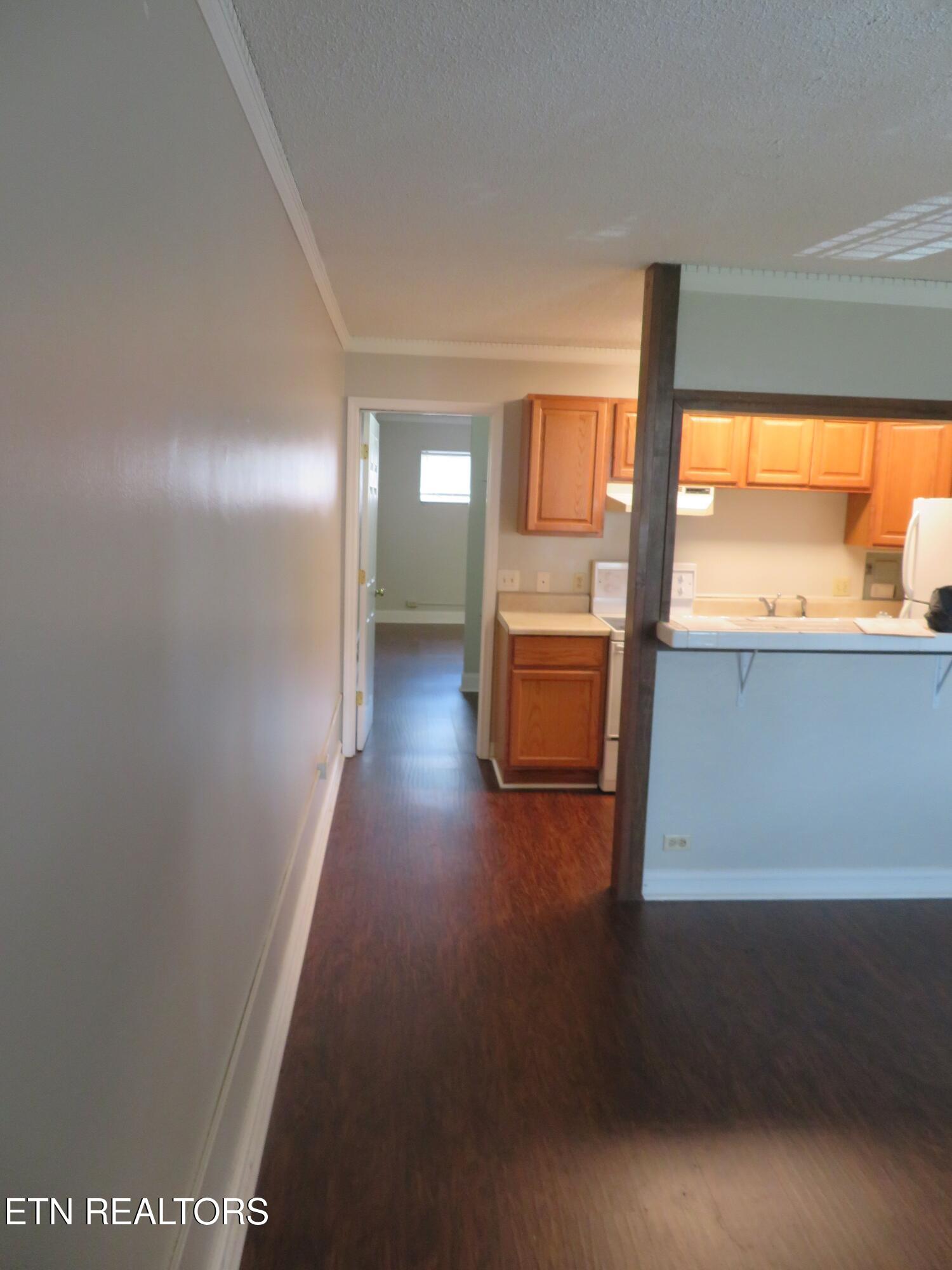 510 14th Street Knoxville TN 37916