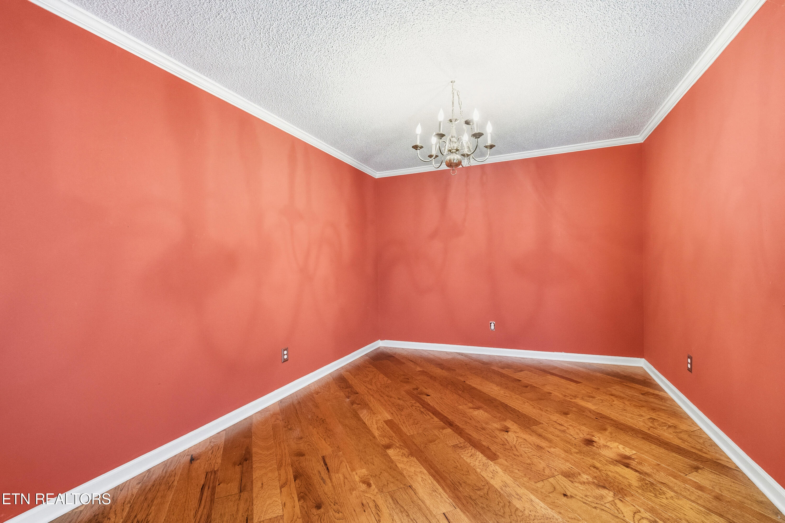 805 Cedar Lane Knoxville TN 37912