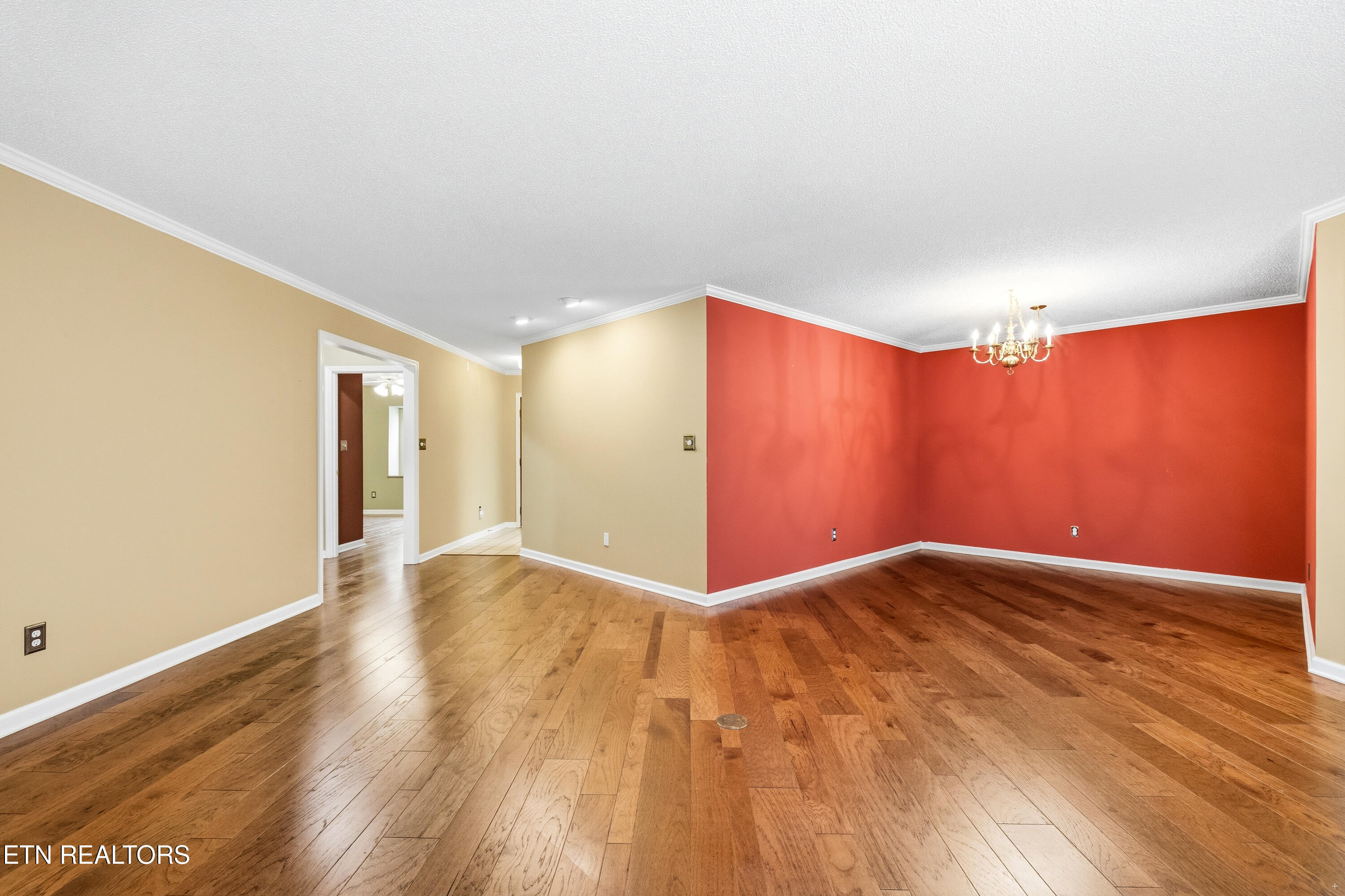 805 Cedar Lane Knoxville TN 37912