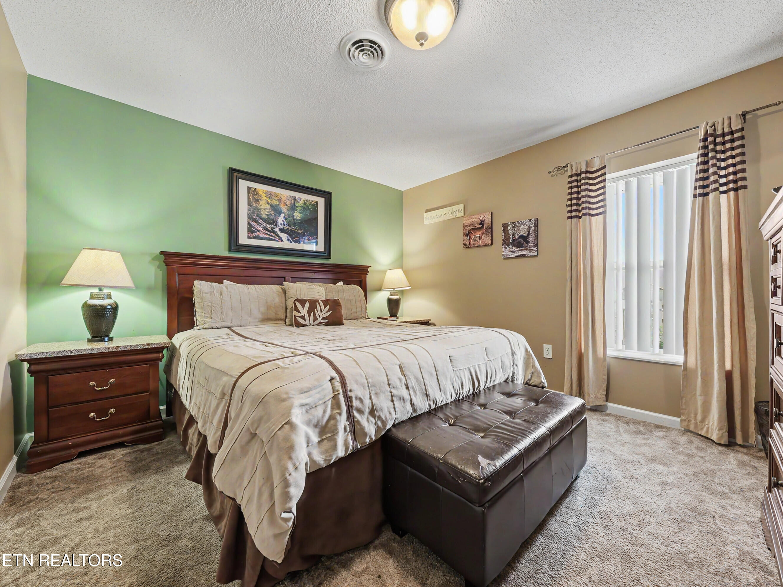 205 Ogle Drive Pigeon Forge TN 37863