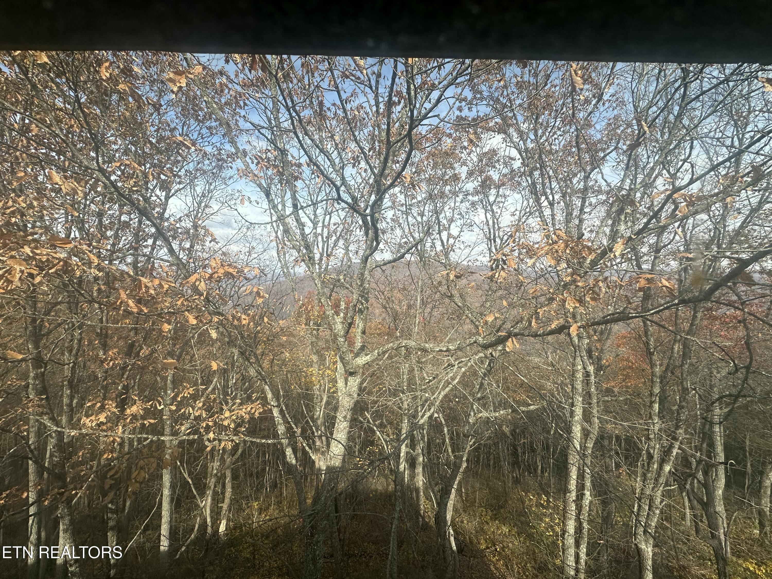 391 Moytoy Road Crab Orchard TN 37723