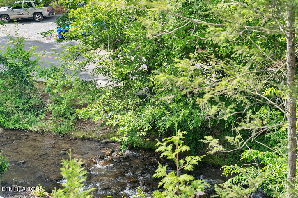 685 River Road Gatlinburg TN 37738