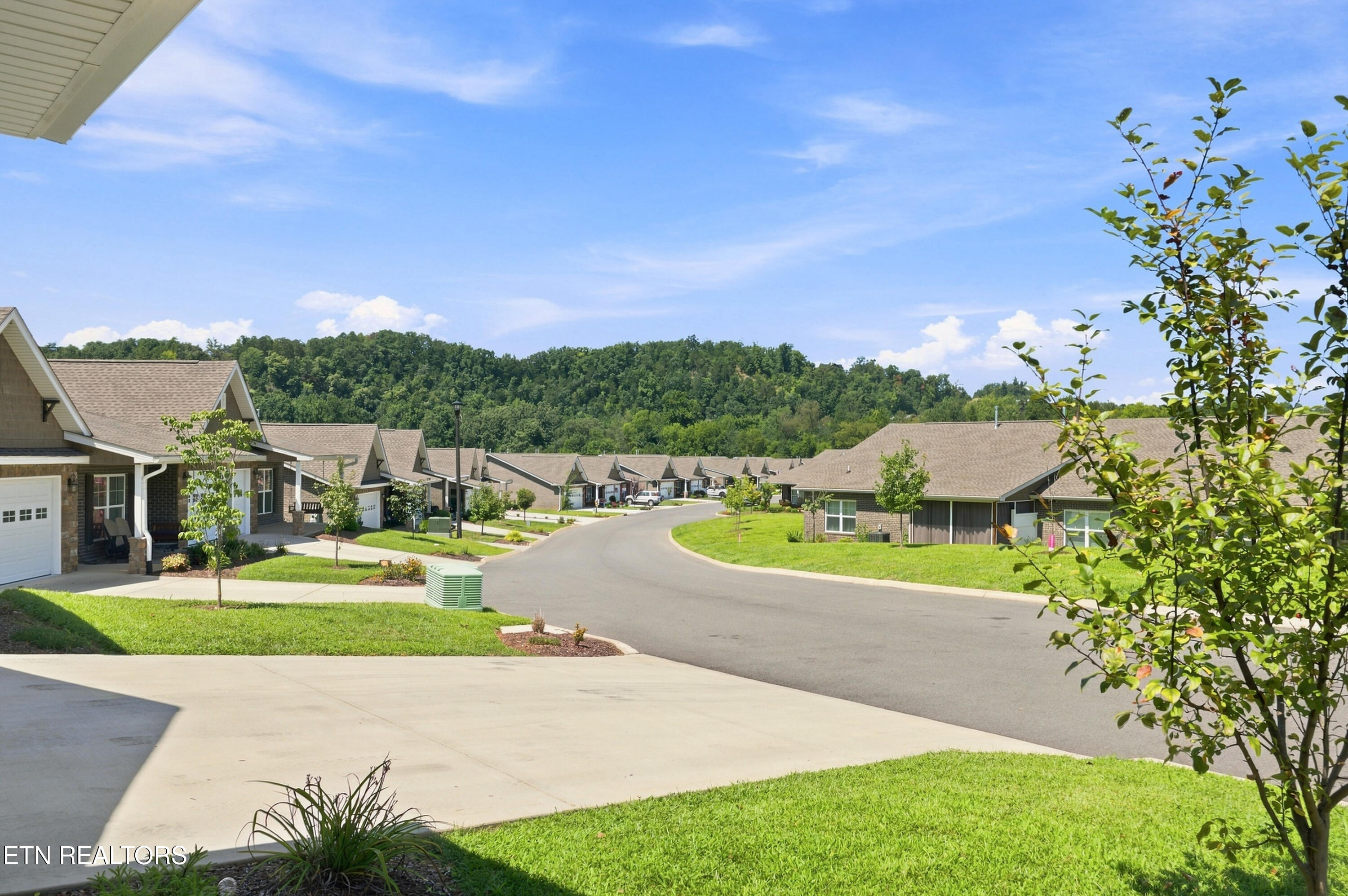 643 Snowflower Circle Pigeon Forge TN 37863