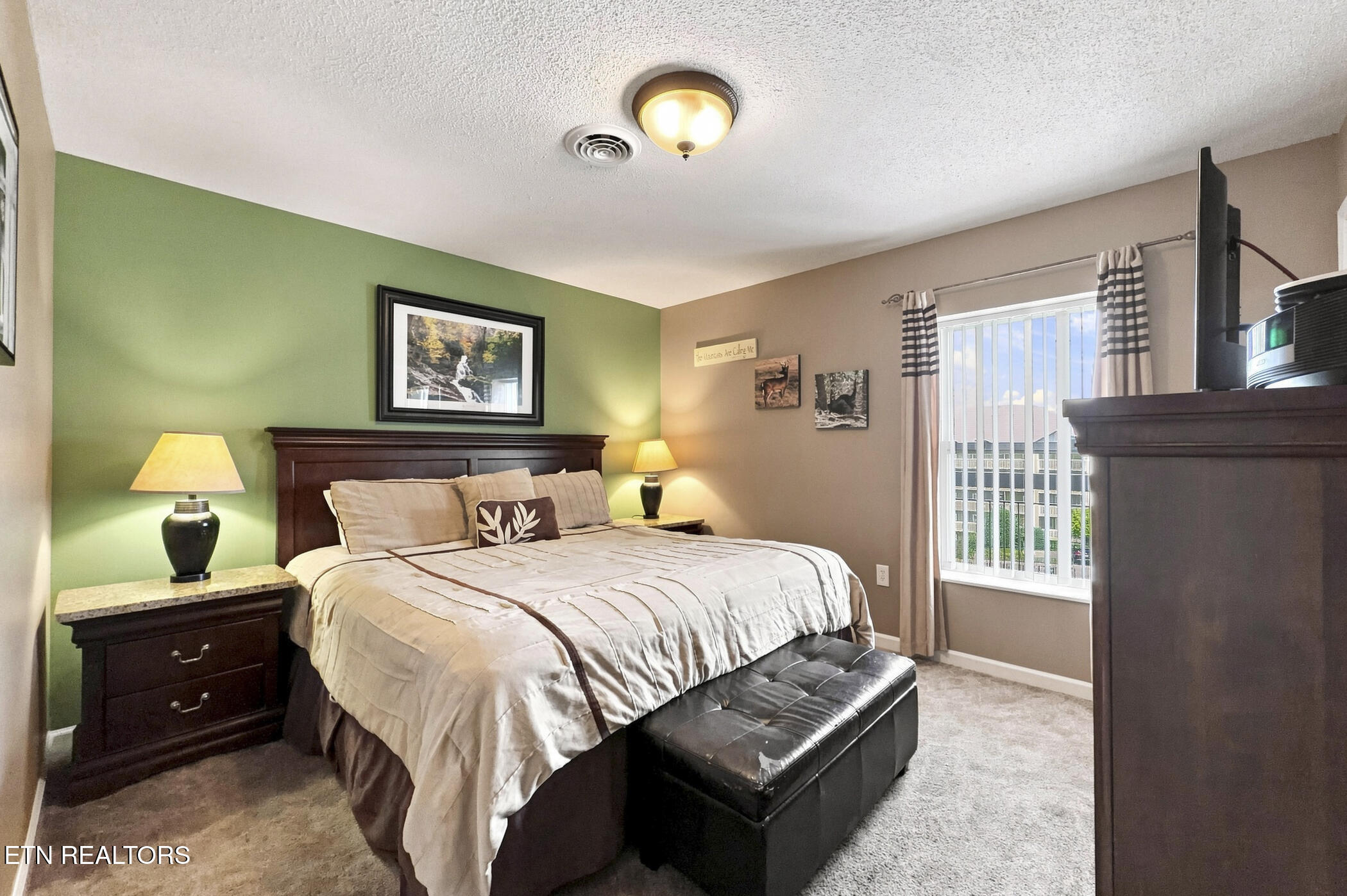 205 Ogle Drive Pigeon Forge TN 37863