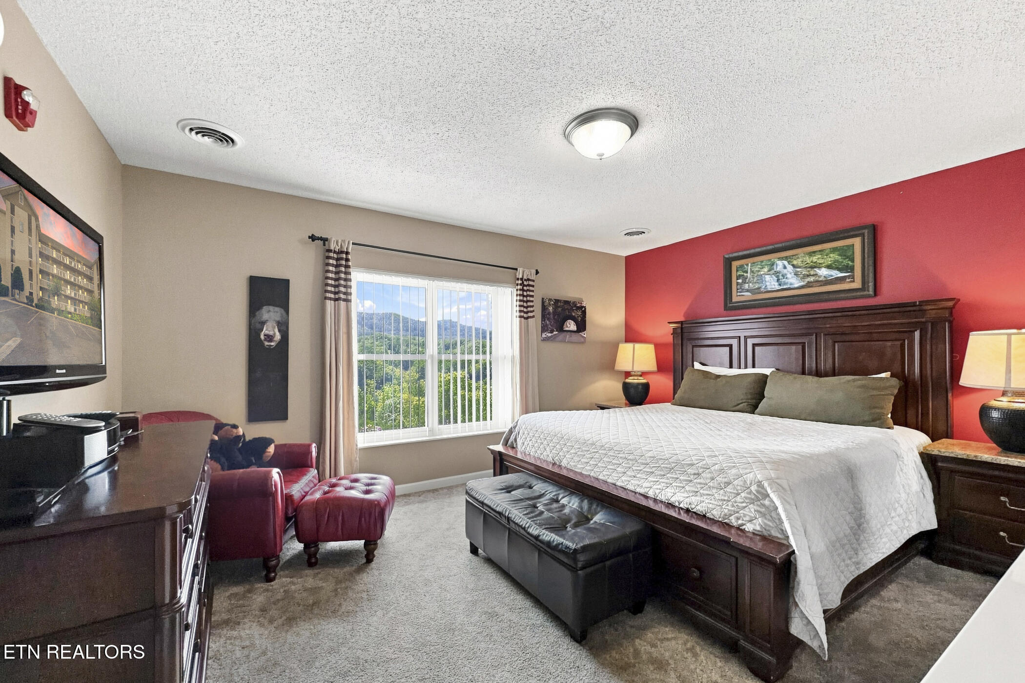 205 Ogle Drive Pigeon Forge TN 37863