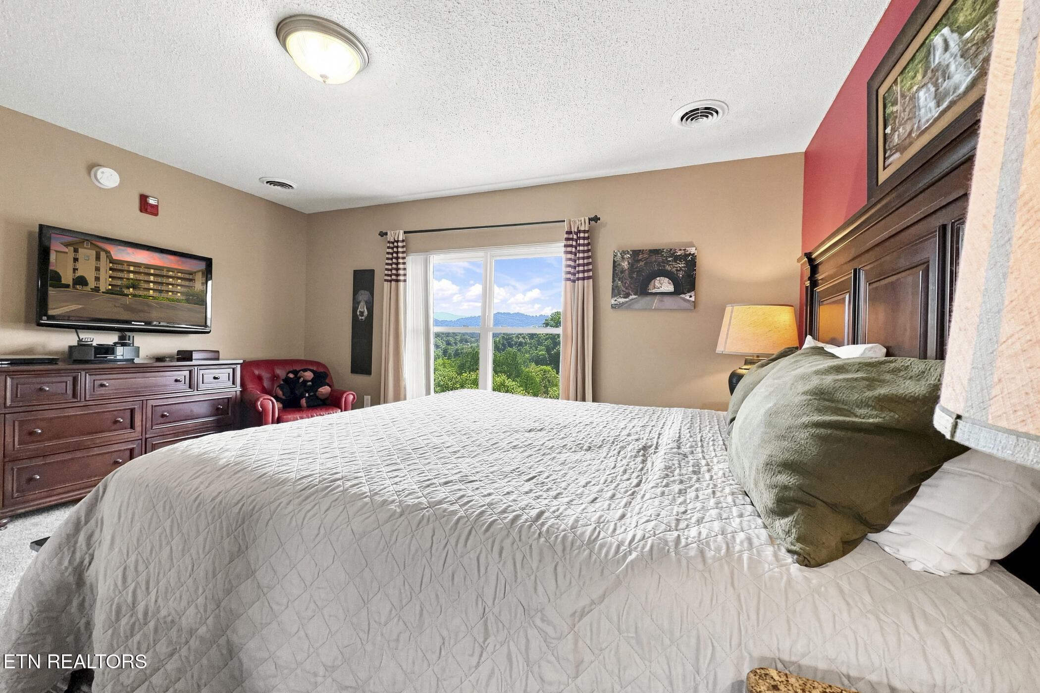 205 Ogle Drive Pigeon Forge TN 37863
