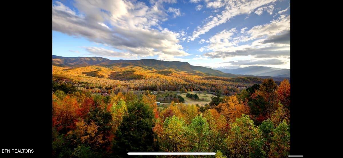3710 Weber Road Gatlinburg TN 37738