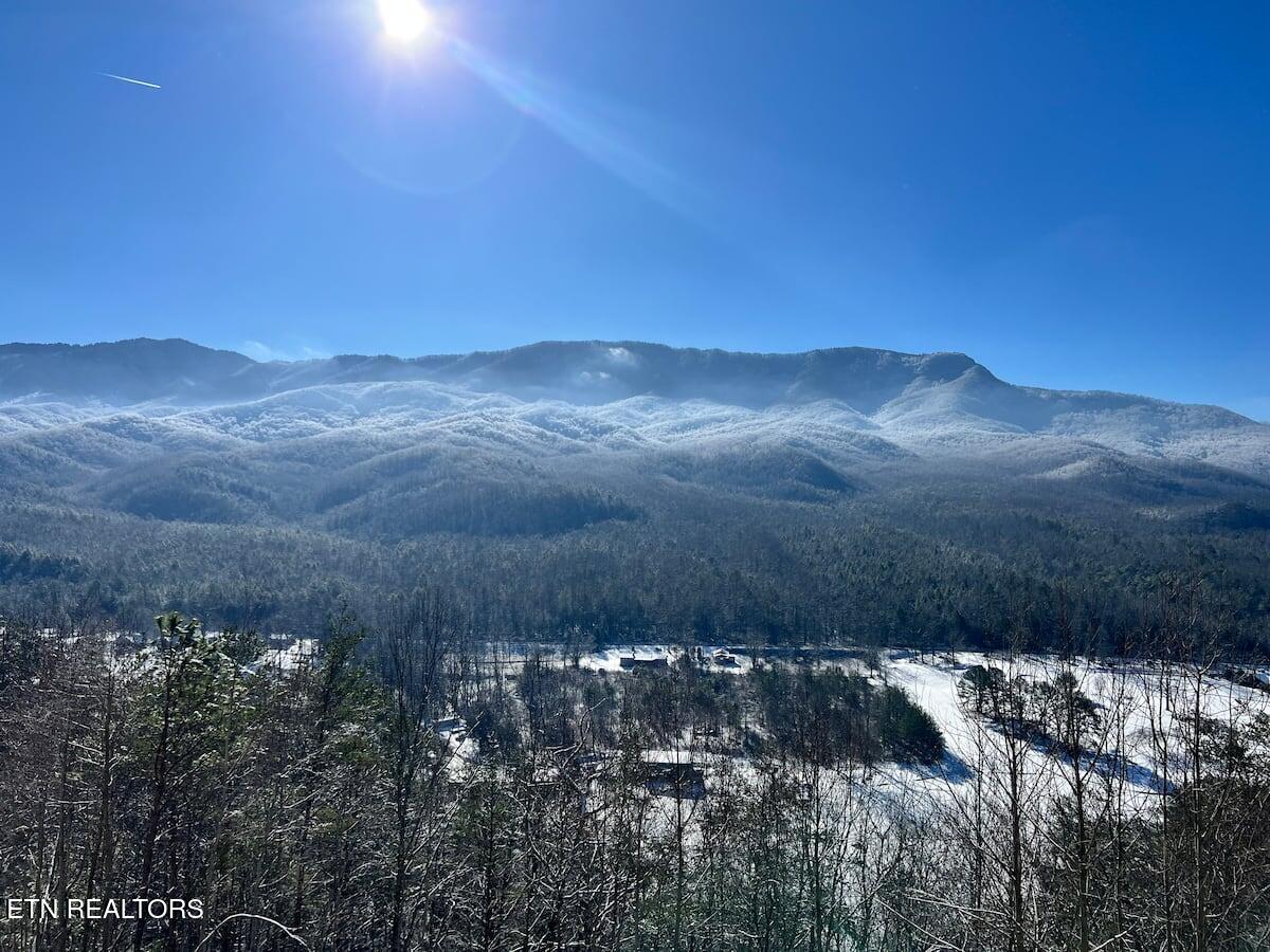 3710 Weber Road Gatlinburg TN 37738