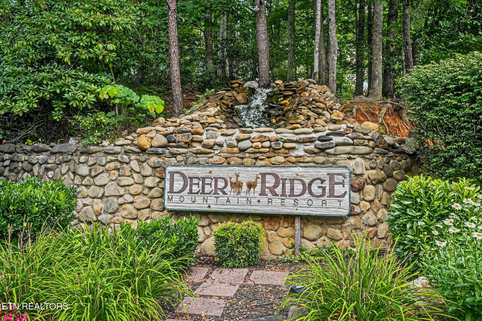 3710 Weber Road Gatlinburg TN 37738