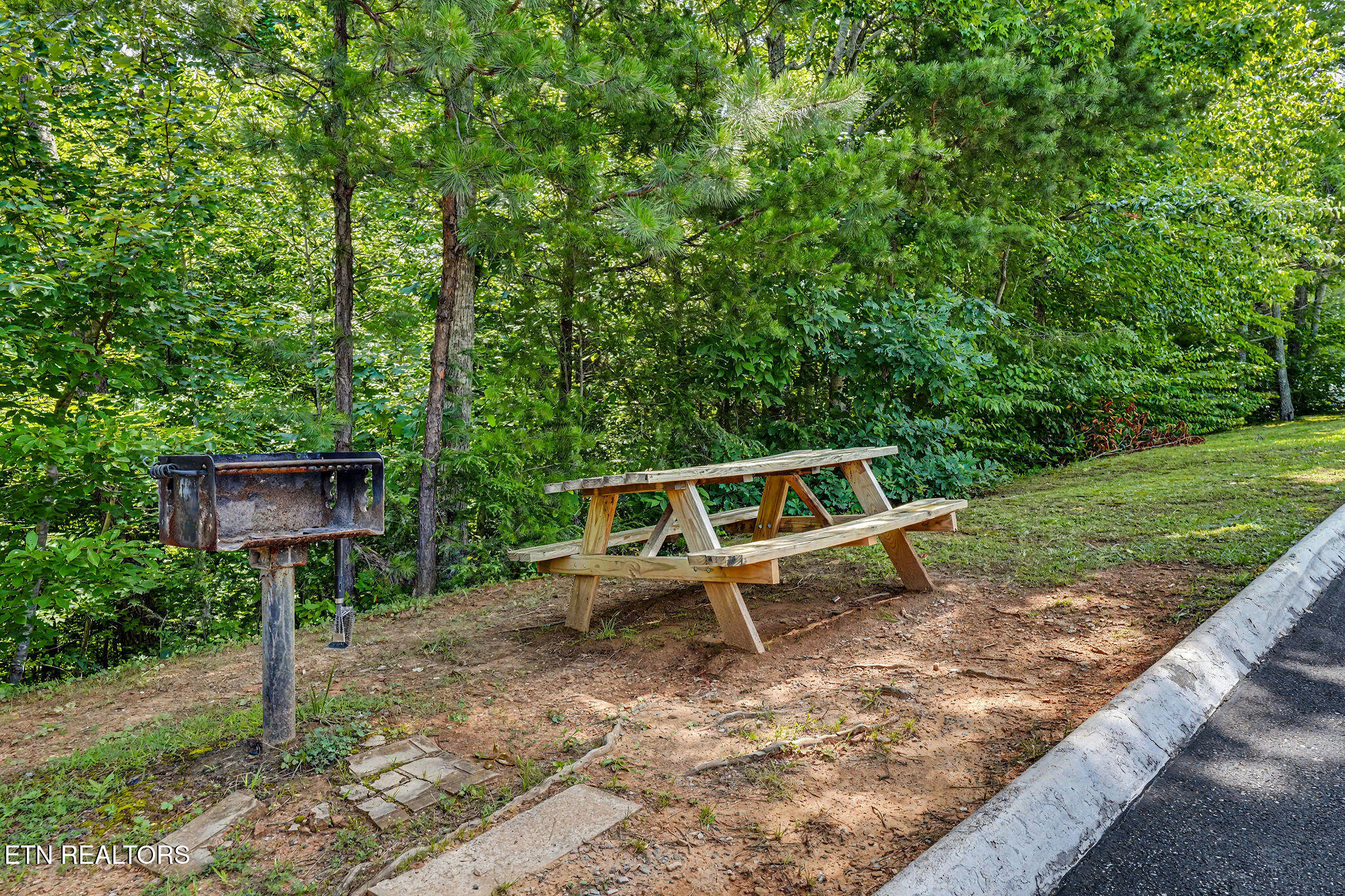 3710 Weber Road Gatlinburg TN 37738