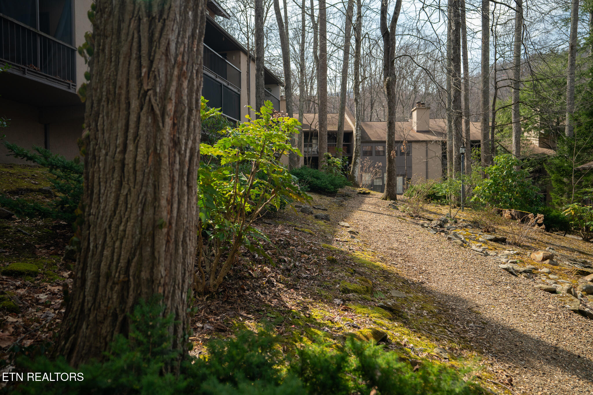 1235 Ski Mountain Road Gatlinburg TN 37738
