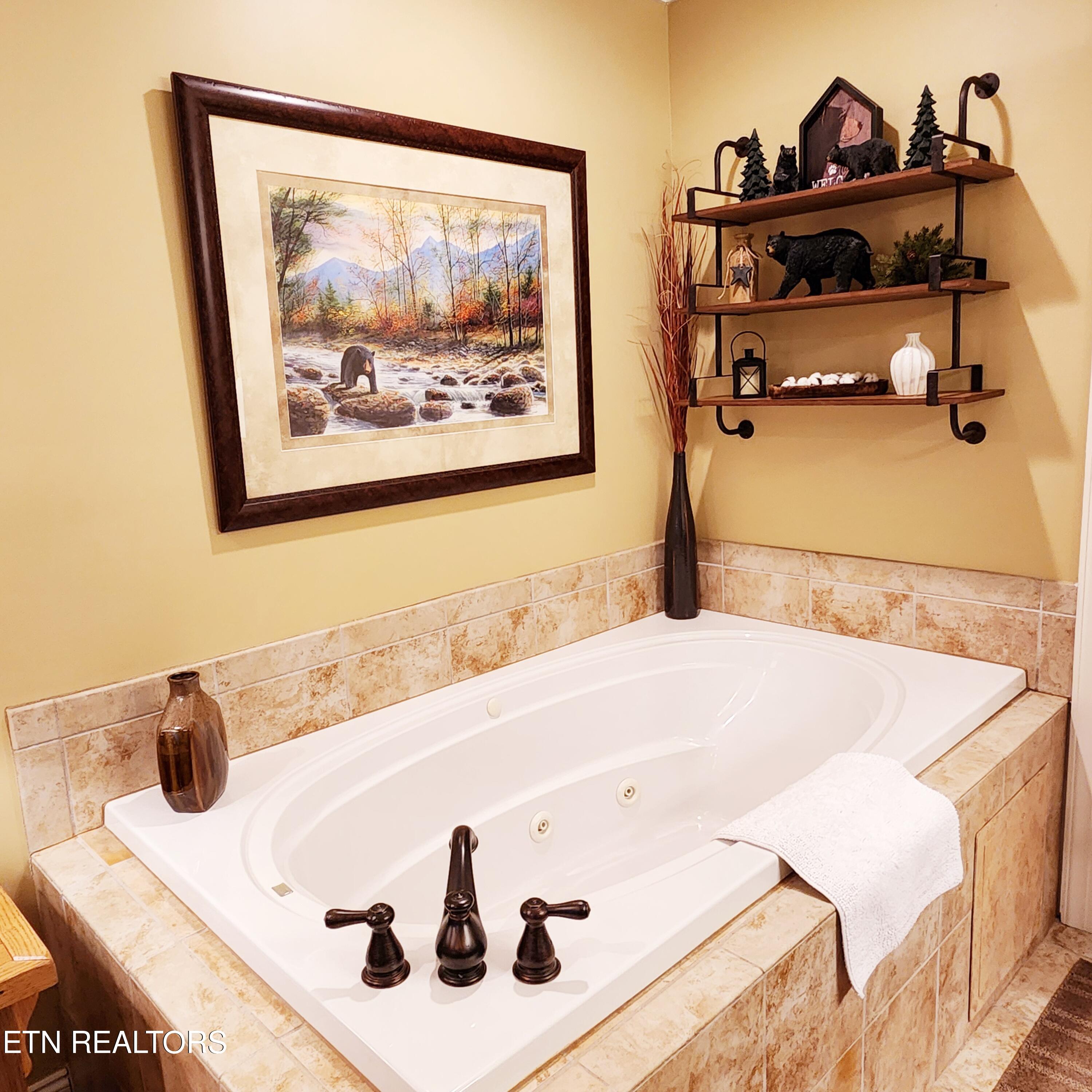 120 Bon Air Drive Gatlinburg TN 37738